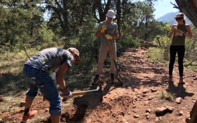 The Lorax Trail Work Day – Volunteers Needed